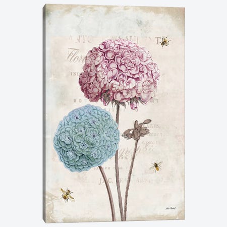 Geranium Study, Pink Flower II Canvas Print #WAC7758} by Katie Pertiet Canvas Art Print