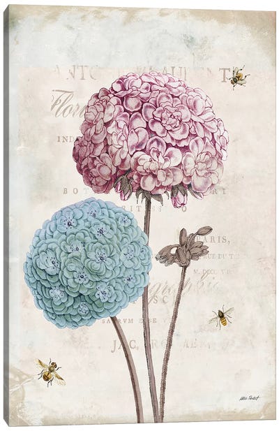 Geranium Study, Pink Flower II Canvas Art Print