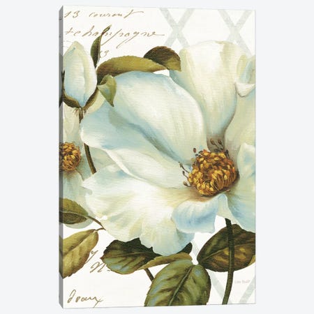 White Floral Bliss II Canvas Print #WAC7816} by Lisa Audit Art Print