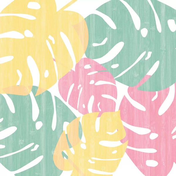 Monsteras: Monstera Bright On White I by Sarah Adams