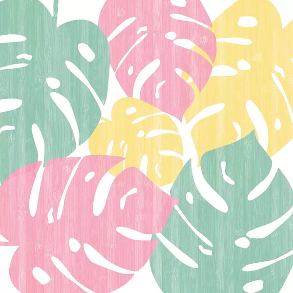 Sarah Adams: Monstera Bright On White II by Sarah Adams