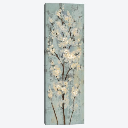 Almond Branch II: On Light Blue Canvas Print #WAC7890} by Silvia Vassileva Canvas Art