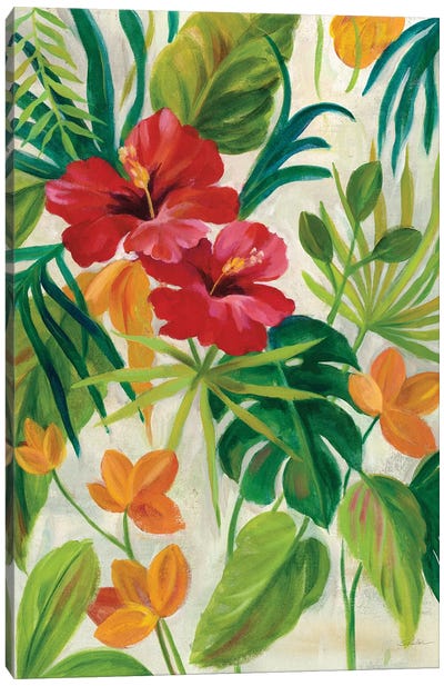 Tropical Jewels II Canvas Art Print - Silvia Vassileva