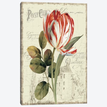 Garden View II Red Tulip Canvas Print #WAC793} by Lisa Audit Canvas Artwork