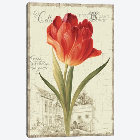 Garden View III Red Tulip Canvas Print #WAC794} by Lisa Audit Canvas Print