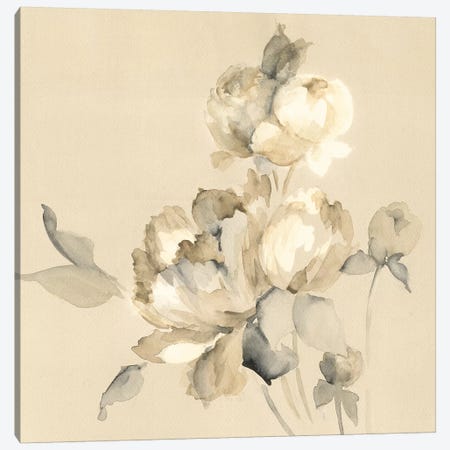 Peony Blossoms Canvas Print #WAC7965} by Wild Apple Portfolio Canvas Print