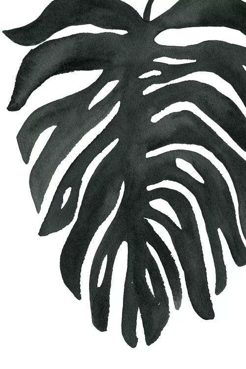 Tropical Palm II by Wild Apple Portfolio wall art
