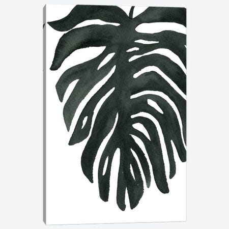 Tropical Palm II Canvas Print #WAC7976} by Wild Apple Portfolio Canvas Wall Art
