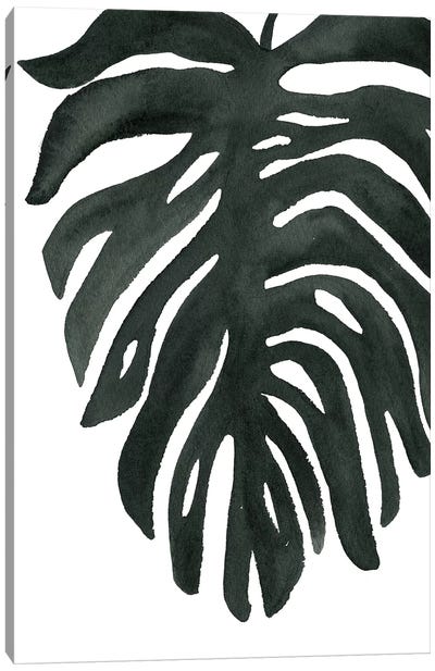 Tropical Palm II Canvas Art Print - Wild Apple Portfolio