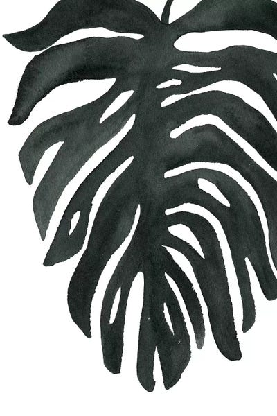 Wild Apple Portfolio: Tropical Palm II by Wild Apple Portfolio
