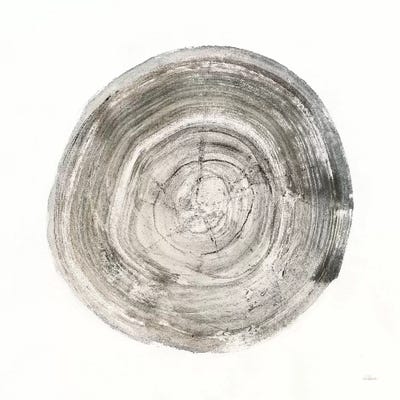 Counting The Years II by Albena Hristova framed wall art