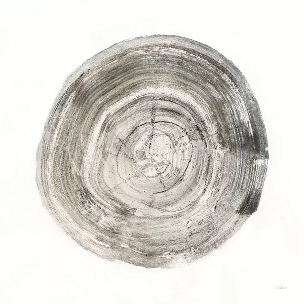 Tree Close-Ups: Counting The Years II by Albena Hristova