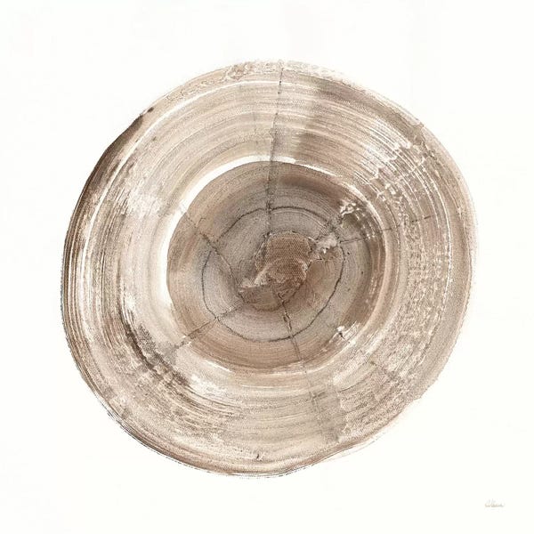 Tree Close-Ups: Counting The Years III by Albena Hristova