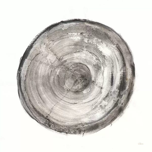 Tree Close-Ups: Counting The Years V by Albena Hristova