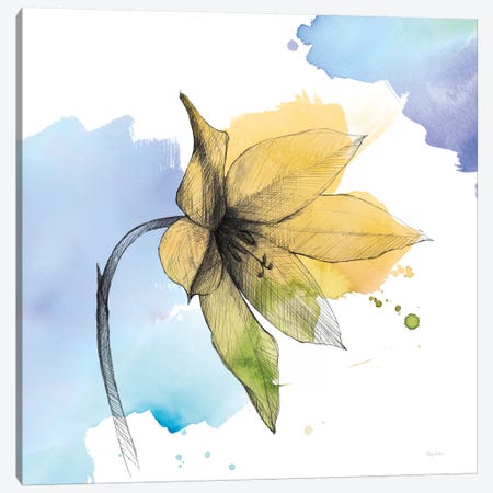 Watercolor Graphite Flower VIII Canvas Print #WAC8005} by Avery Tillmon Canvas Artwork