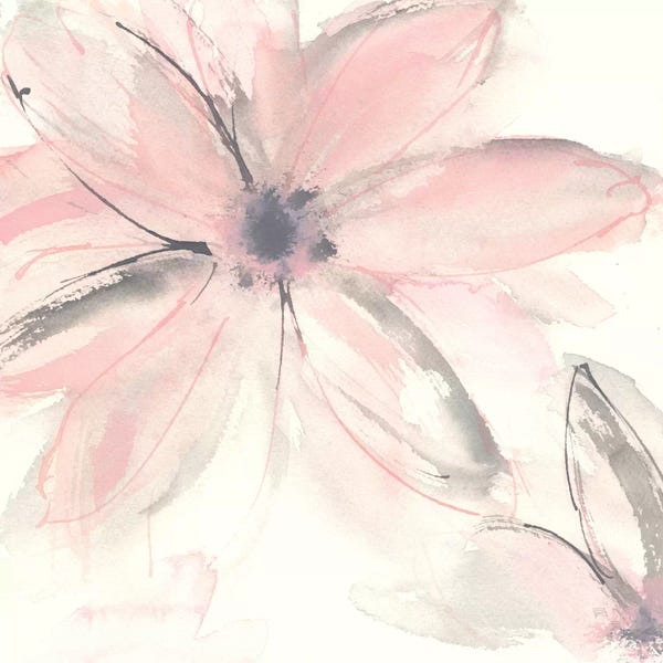 Large Floral & Botanical Art - Canvas Prints: Blush Clematis II by Chris Paschke