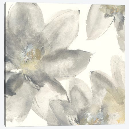 Gray And Silver Flowers I Canvas Print #WAC8018} by Chris Paschke Canvas Art