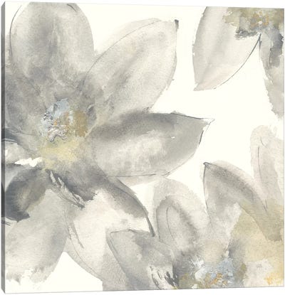 Gray And Silver Flowers I Canvas Art Print - Chris Paschke