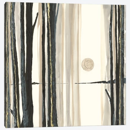 Through The Trees IV Canvas Print #WAC8028} by Chris Paschke Art Print
