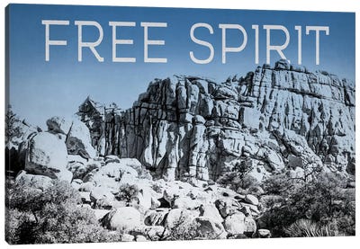 Ombre Adventure: Free Spirit Canvas Art Print