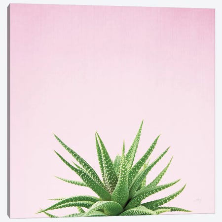 Succulent Simplicity On Pink I  Canvas Print #WAC8081} by Felicity Bradley Canvas Art Print