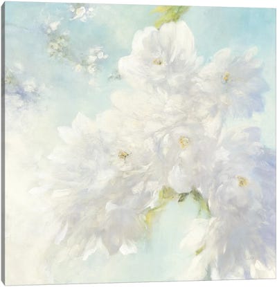 Pear Blossoms, Bright Canvas Art Print