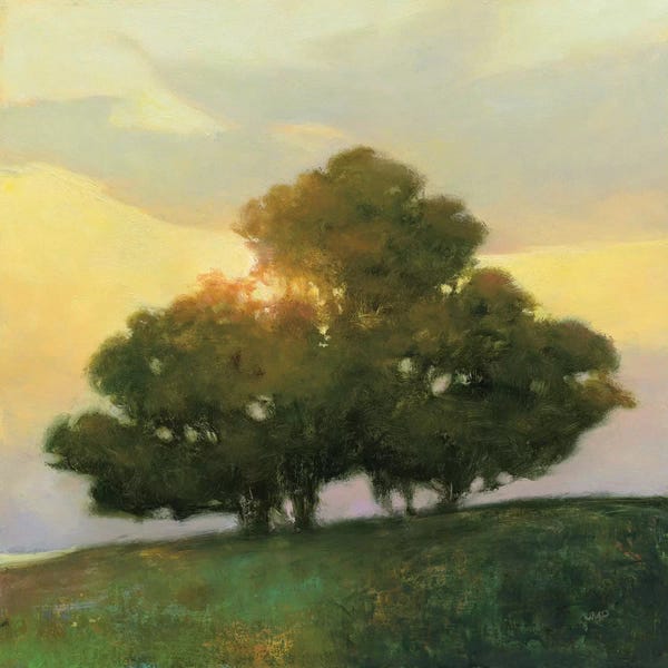 Hillsides: Spice Tree by Julia Purinton