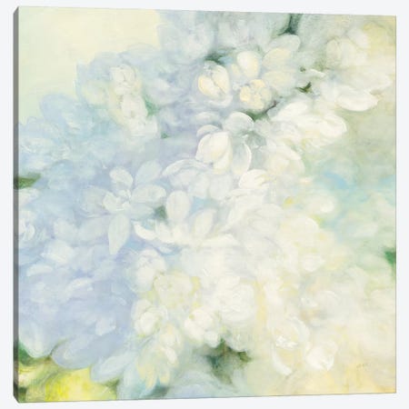 White Lilacs, Bright Canvas Print #WAC8114} by Julia Purinton Canvas Art