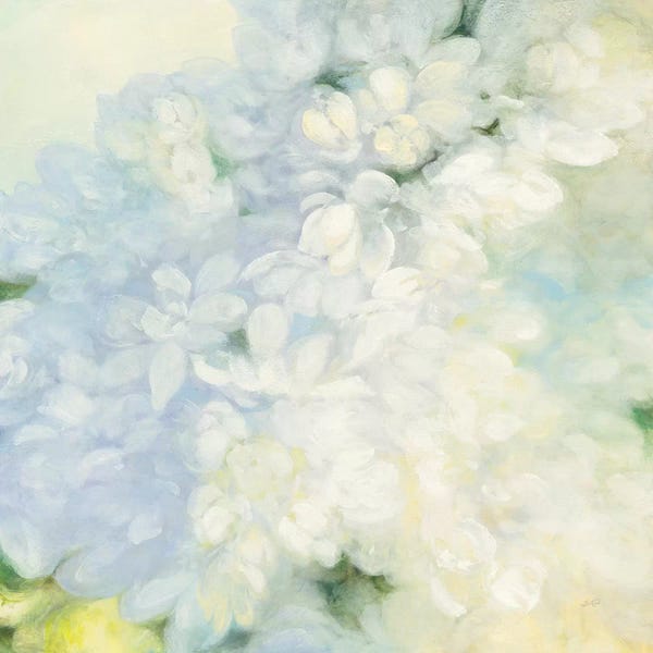 Lilacs: White Lilacs, Bright by Julia Purinton
