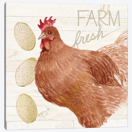Life On The Farm: Chicken II Canvas Print #WAC8121} by Kathleen Parr McKenna Canvas Art
