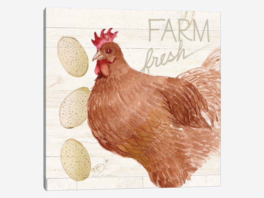 Life On The Farm: Chicken II 1-piece Art Print