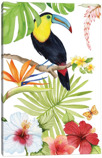 Treasures Of The Tropics I Canvas Art Print - Hibiscus Art