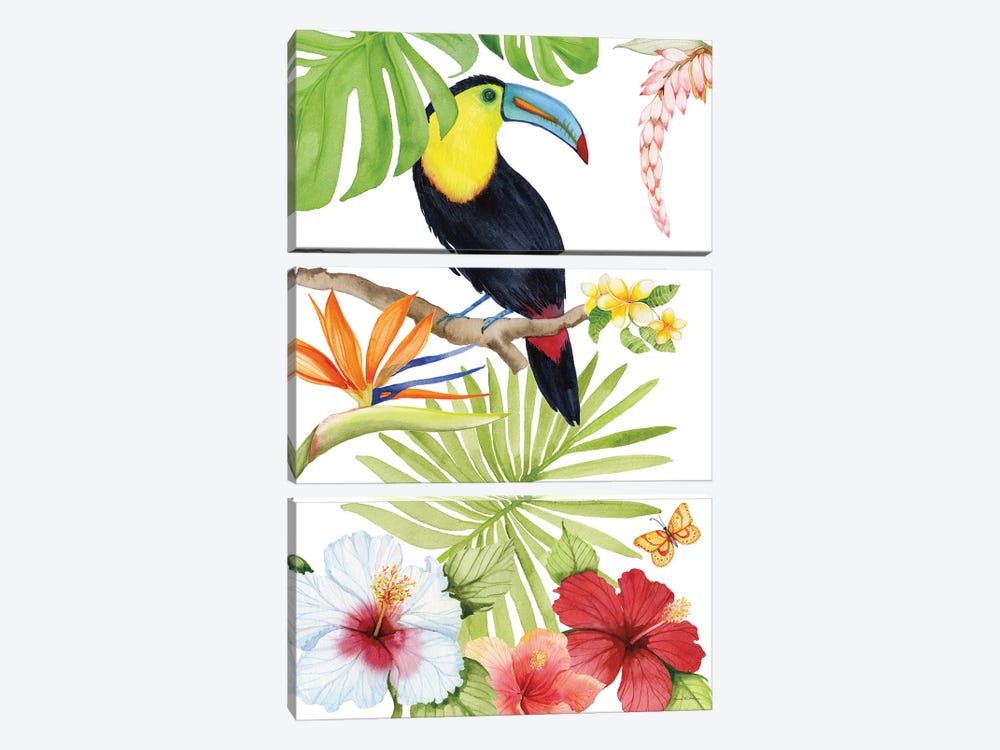 Treasures Of The Tropics I by Kathleen Parr McKenna 3-piece Canvas Art