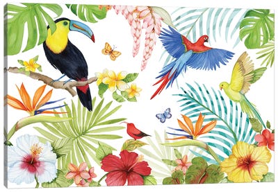 Treasures Of The Tropics III Canvas Art Print - Parrot Art