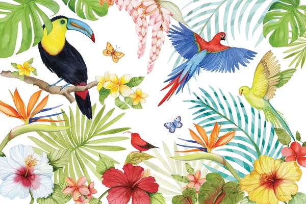 Parrots