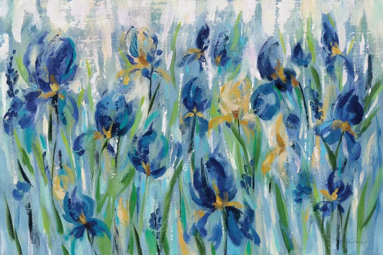 Iris Flower Bed by Silvia Vassileva wall art