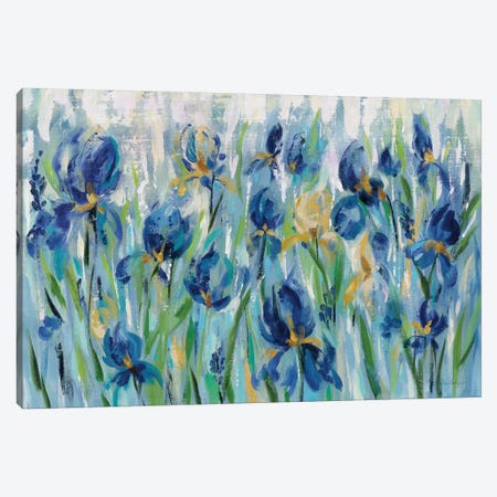 Iris Flower Bed Canvas Print #WAC8245} by Silvia Vassileva Canvas Art