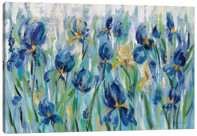Iris Flower Bed Canvas Art Print - Irises