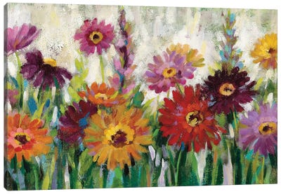 Jewel Daisy Gerbera Canvas Art Print - Daisy Art