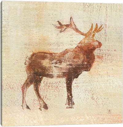 Elk Study Canvas Art Print