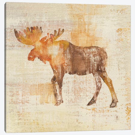 Moose Study Canvas Print #WAC8266} by Studio Mousseau Canvas Art
