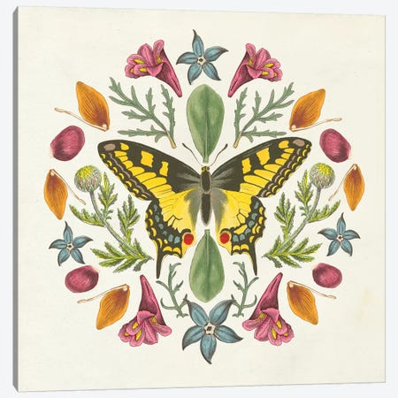 Butterfly Mandala III Canvas Print #WAC8336} by Wild Apple Portfolio Canvas Art