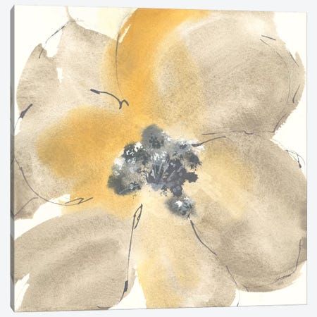 Flower Tones I Canvas Print #WAC8373} by Chris Paschke Canvas Art Print