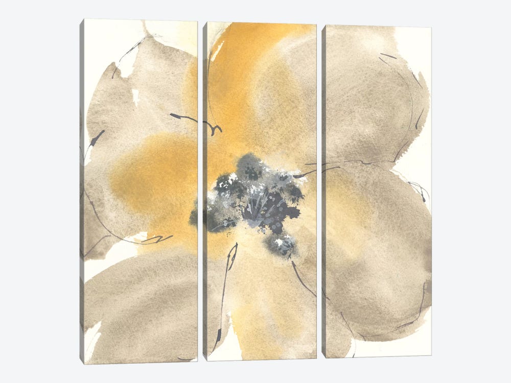 Flower Tones I by Chris Paschke 3-piece Canvas Art Print