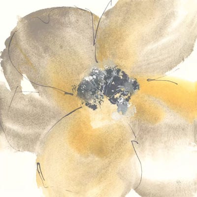 Flower Tones II by Chris Paschke multi panel art