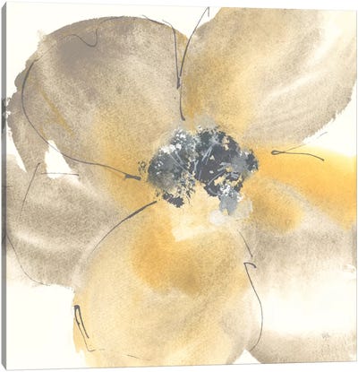 Flower Tones II Canvas Art Print - Chris Paschke