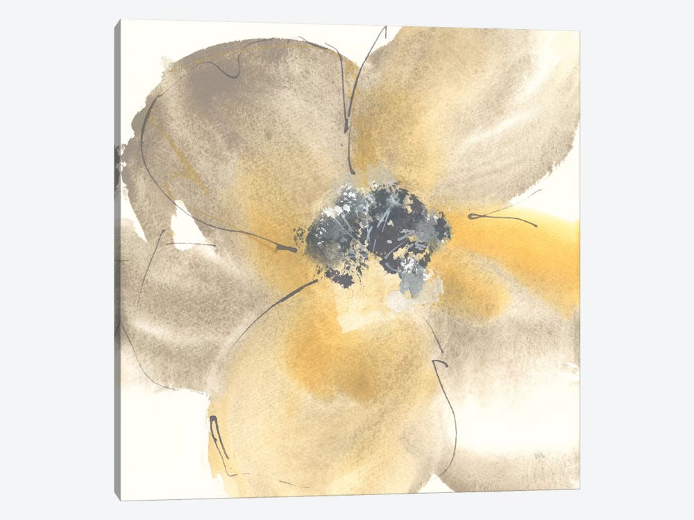 Flower Tones II by Chris Paschke 1-piece Canvas Artwork
