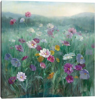 Cosmos At Dawn Canvas Art Print - Best Selling Floral Art