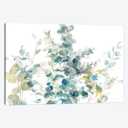 Eucalyptus On White I Canvas Print #WAC8398} by Danhui Nai Canvas Print