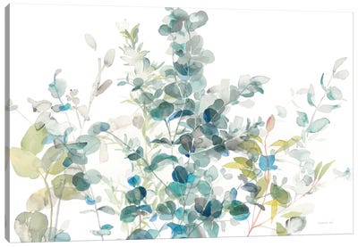 Eucalyptus On White I Canvas Art Print - Danhui Nai
